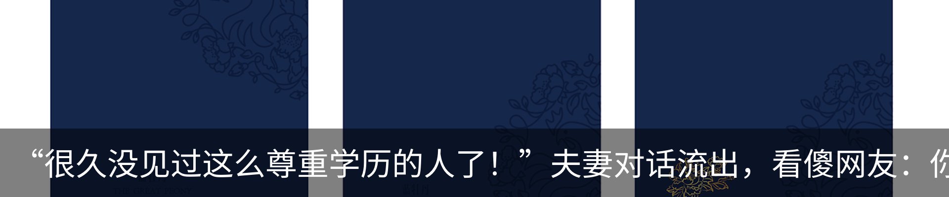 新闻动态