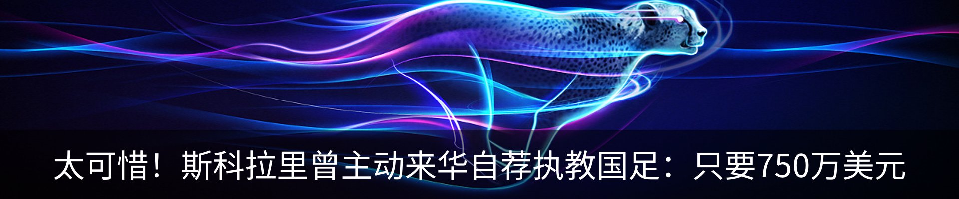 新闻动态