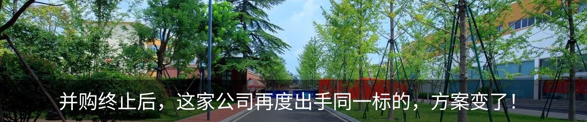 新闻动态